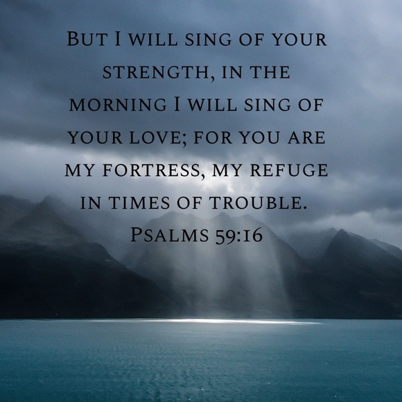 Koalabeary - Picture 2 of 2